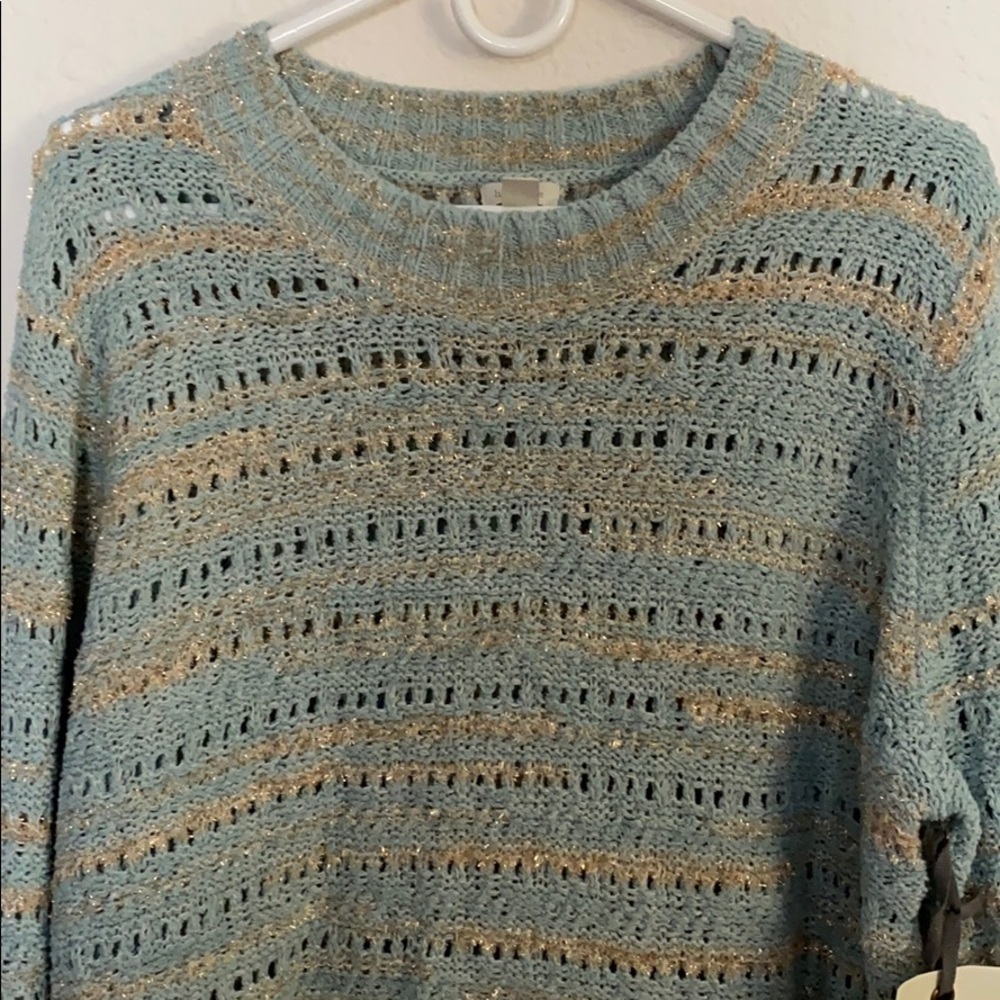 NWT Hinge Sparkly Sweater